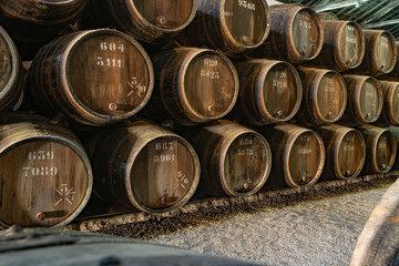 Row of wooden porto wine barrels in wine cellar Porto, Portugal.