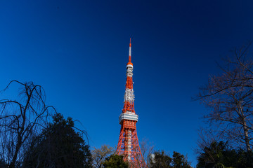 青空の東京タワー