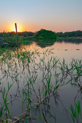 Laguna de Campo al Atardecer, Castelli - Chaco - Argentina