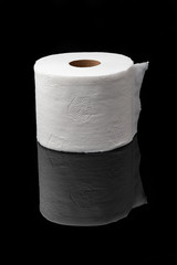 Isolated Single Roll of Toilet Paper