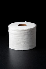 Isolated Single Roll of Toilet Paper