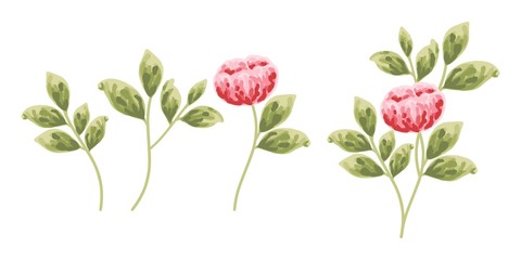 Red and pink peony flowers and green leaves, isolated on white background. Watercolor painting for wedding invitations, greeting card, and design