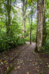 Tropical Costa Rica