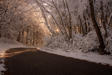 足尾山の雪景色