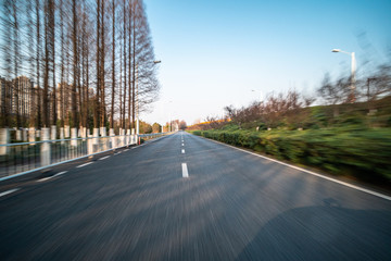 road in park