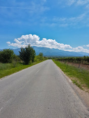 Empty road with grapes growing alongside, leading to a horizon with mountains and beautiful blue sky and white clouds