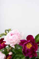 Pink and Burgundy peony background floral flat lay
