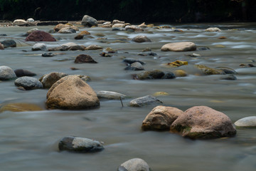 Small river in a tropical forest landscape in Colombia.