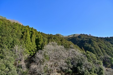 Fototapeta na wymiar 青空バックに冬枯れの山麓公園の情景