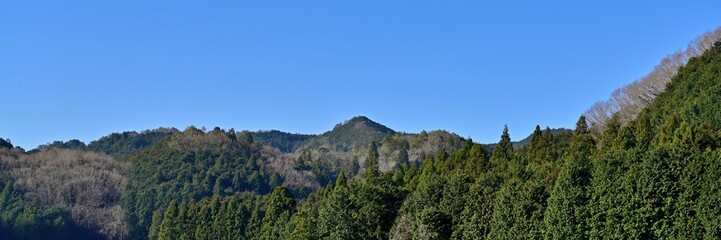 Fototapeta na wymiar 青空バックに冬枯れの山麓公園のパノラマ情景