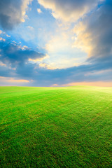 Fototapeta na wymiar Green grass field and colorful sky clouds at sunset.