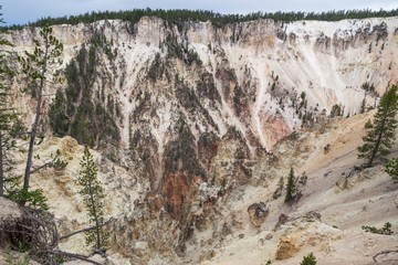 Fototapeta na wymiar Grand Canyon of the Yellowstone River from Artists Point