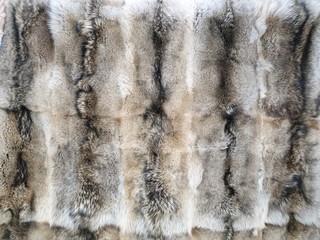 background of texture