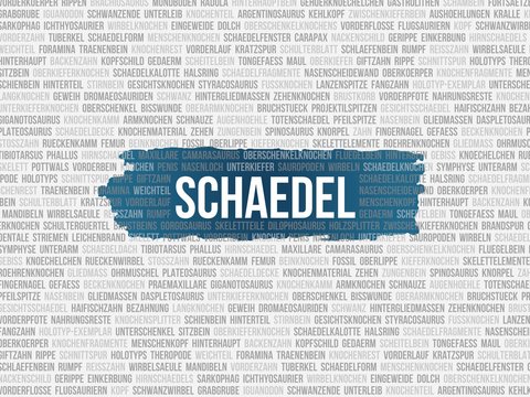 Sch�del