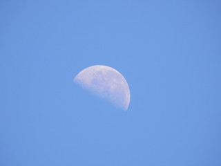 Half moon in the moring