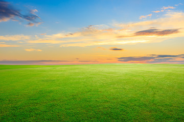 Green grass field and colorful sky clouds at sunset.