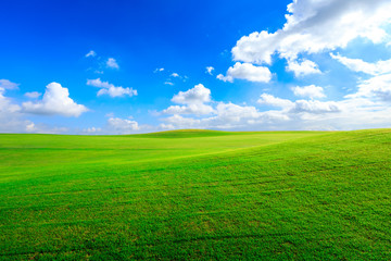 Green grass field and blue sky with white clouds.