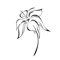 blooming flower 8. one stylized blooming flower on a short stalk without leaves in black lines on a white background