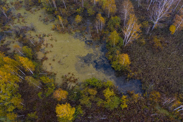 Fototapeta na wymiar Nature and landscape: aerial view of forest and lakes, autumn leaves, foliage, greenery and trees in wilderness landscape