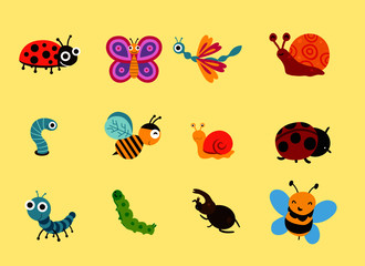 ladybug on white background