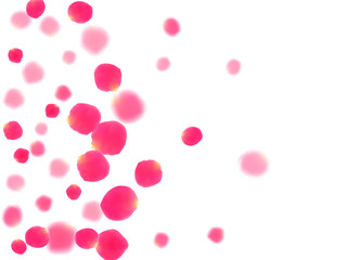 Rose gold petals flying cosmetics vector background.