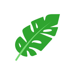 tropical leaf icon
