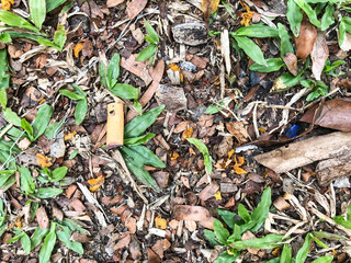 Smokers are littering cigarette butts on the public.