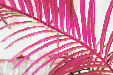 huge pink branch of a plant against a silver wall.