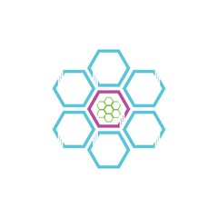 Obraz na płótnie Canvas polygonal logo