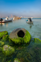 Beautiful Long exposure shot of Bahrain sea with green sea moss in foreground and city at background.