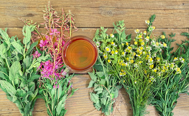 useful herbs and tea cup on wooden table. Healthy medical herbs - willow-herb (Epilobium angustifolium),  Melissa, mint, tarragon, Matricaria chamomilla. 