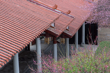 Plum blossoms open under the eaves of the temple