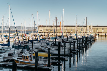 Yachts and Boats in Marina
