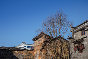 Under the blue sky, there are old and new houses in the city, as well as dead trees