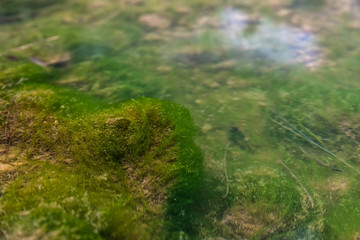 Clear water and the image reflected in the water