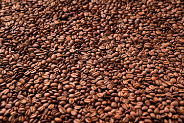 Close-up of roasted coffee beans