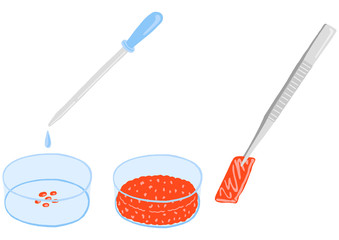 培養肉　クリーンミートのイメージ