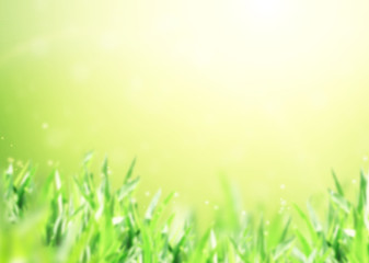 Abstract nature background with green grass