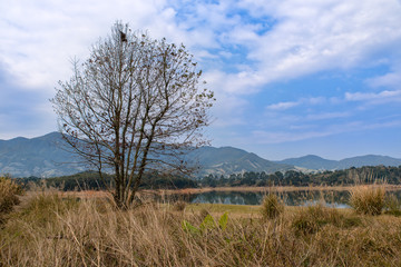 The reservoir under blue sky and white clouds and its ecological environment