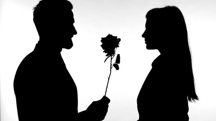The Silhouette of Man giving Rose to Pretty Woman Against White Background