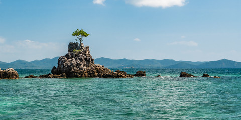 Obraz premium A small island with a lone tree