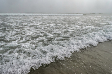 Misty sea. Fog in a beach. Sun through a fog