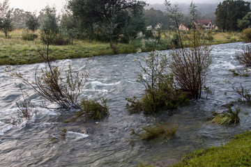 Fast Flowing River Bordered by Natural Vegetation