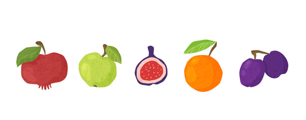 Textured fruit - apple, orange, pomegranates, figs and plum isolated design elements on white. Healthy diet organic food with hand made textures. Paper effected flat vector objects