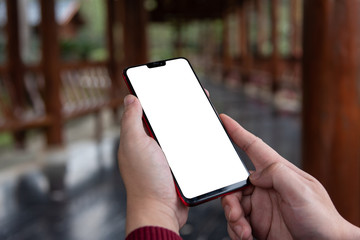 Male browsing mobile phone in park wood promenade