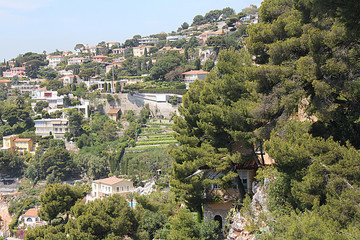 City View - Buildings and Trees on Hill Far View