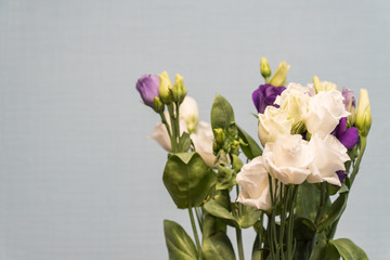 Bouquet of white and violet Eustoma flowers on grey background. Spring flowers.