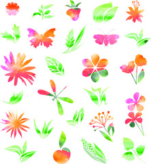 Collection of watercolor icons