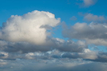 Obraz premium Cumulus clouds in a blue sky