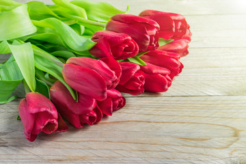 Fototapeta premium Festive greeting card with bouquet of blooming red tulips. Spring background with copy space.